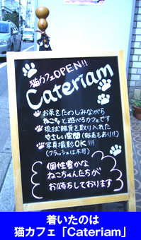 着いたのは 猫カフェ「Cateriam」